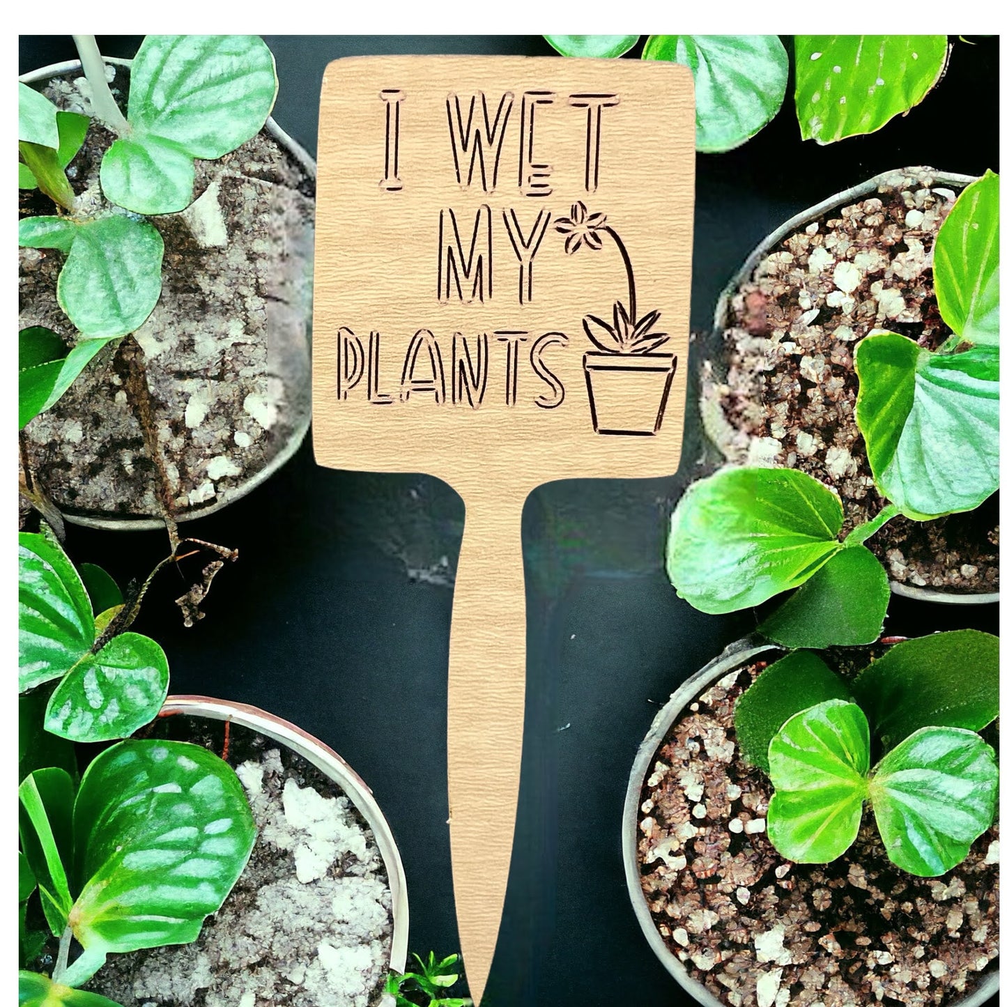Plant Sticks