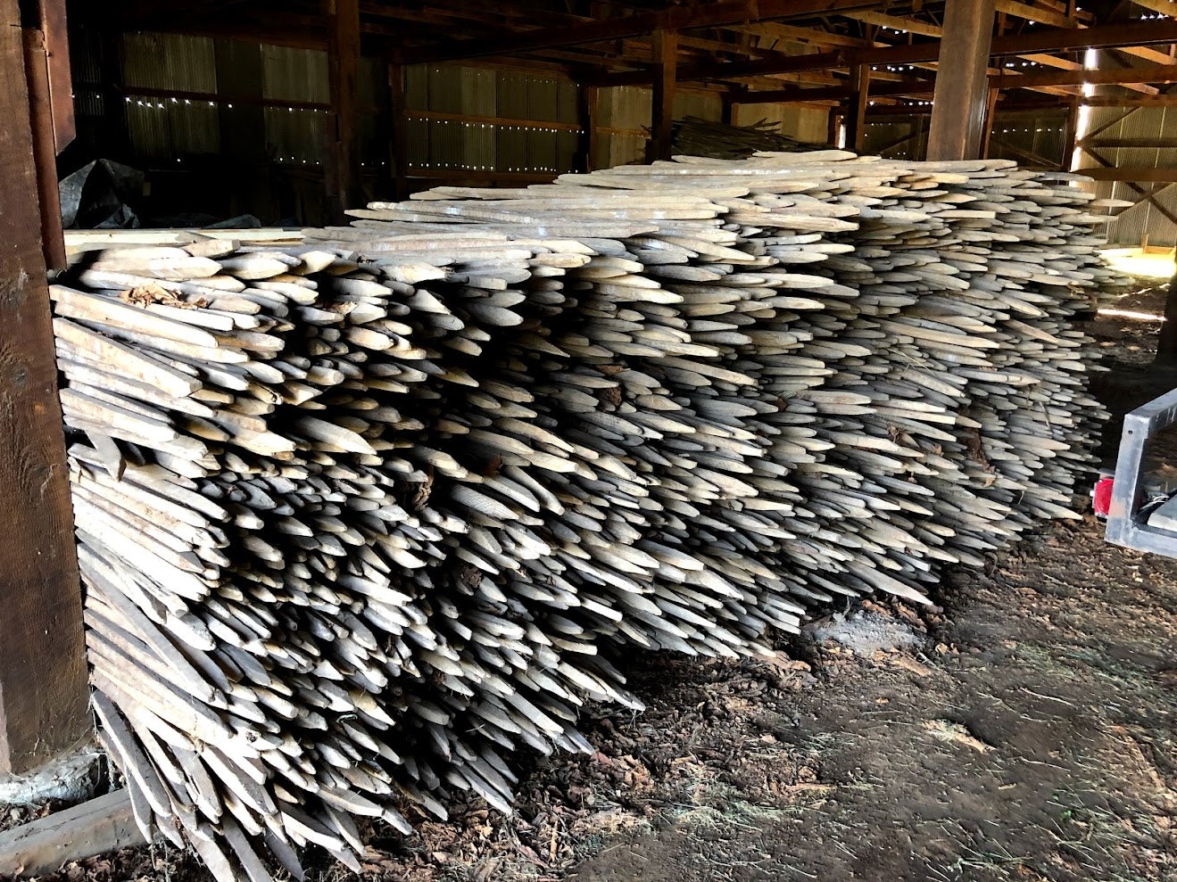 Bundle Of 10 Tobacco Sticks ~48" to 52" long, Made from native hard woods